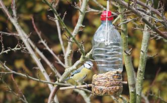 Atelier « Nourrir les oiseaux en hiver »